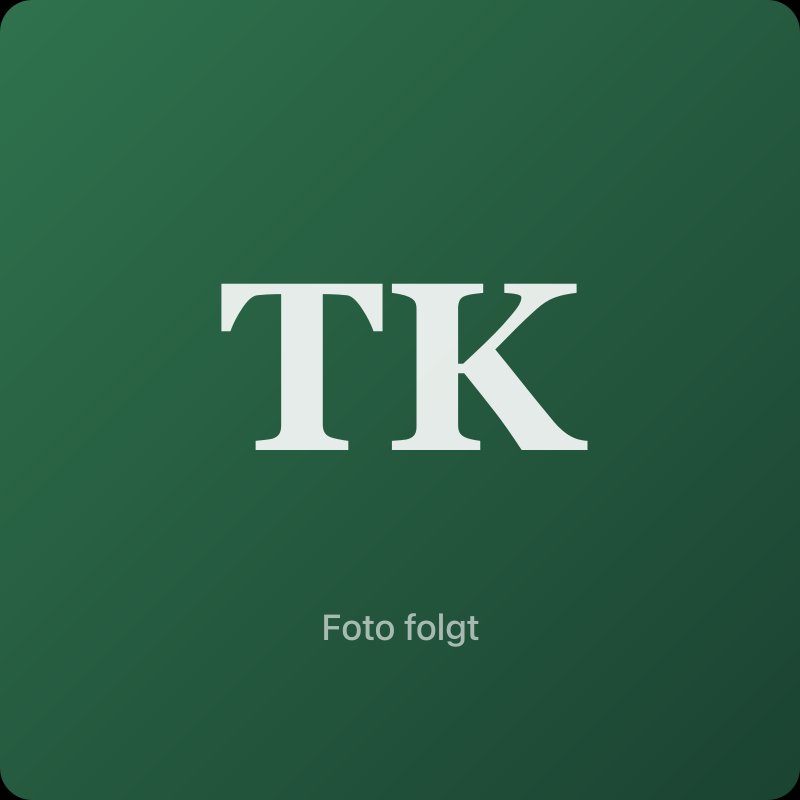 Dipl.-Ing. Torsten Köhring